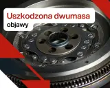 Jak sprawdzić dwumas w dieslu? Objawy i testy krok po kroku