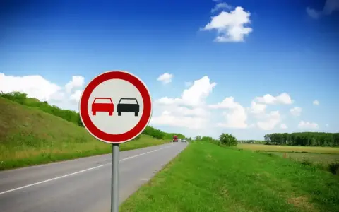 Znak zakazu wyprzedzania dla ciężarówek na tle błękitnego nieba i zielonych pól.