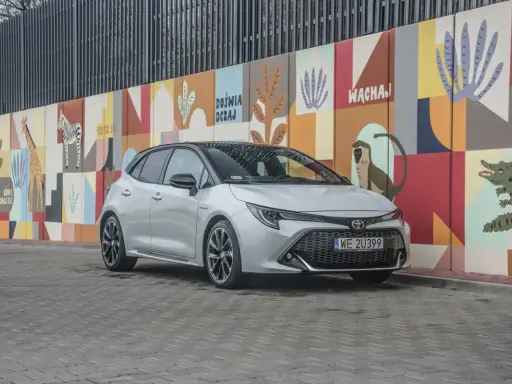 Srebrna Toyota Corolla GR na tle kolorowego muralu z motywami zwierzęcymi.